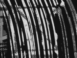 Christopher Thompson