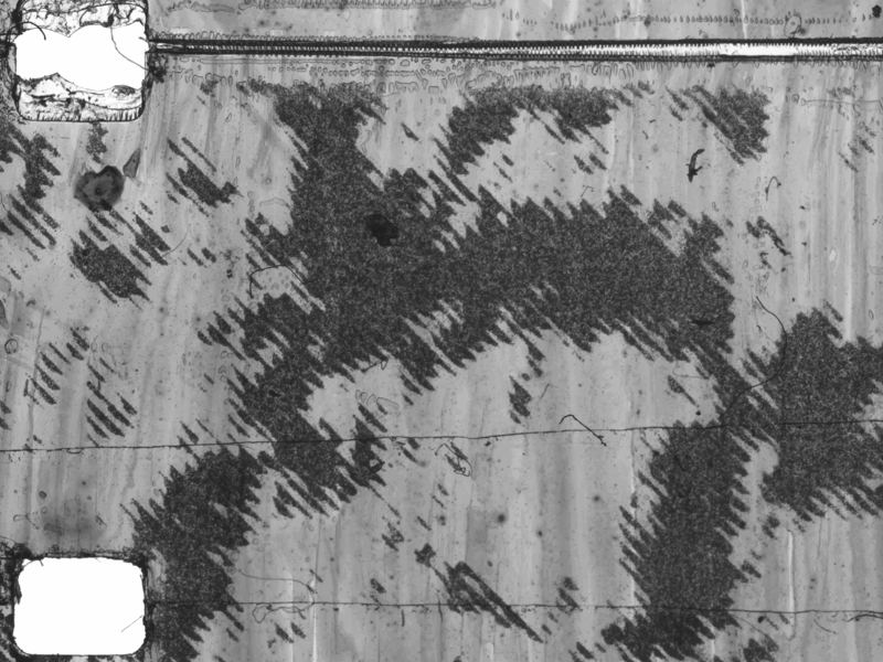 Christopher Thompson